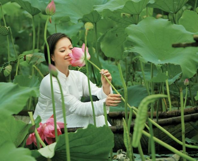 Hoa sen trong tâm hồn người Hà Nội ảnh 3