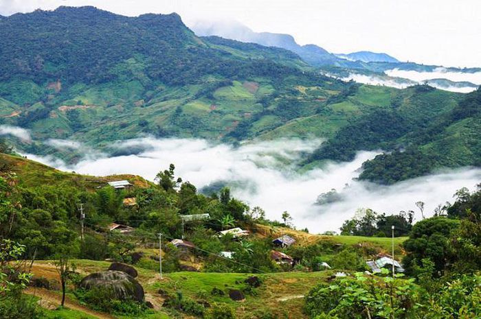 Khu Bảo tồn thiên nhiên Ngọc Linh nói riêng, vùng núi Ngọc Linh nói chung được ví như 