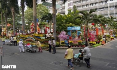 Bệnh nhân, y bác sĩ du xuân tại đường hoa bên trong Bệnh viện Chợ Rẫy