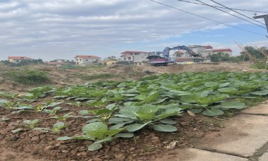 UBND huyện Thường Tín cần giải quyết dứt điểm kiến nghị của người dân liên quan đến đền bù đất đai