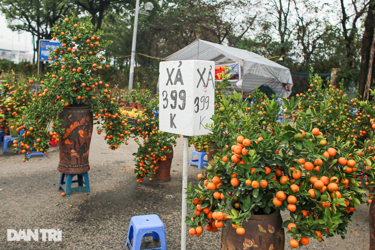 Năm nay do dịch nên sức tiêu thụ kém, mặc dù giá đào, quất đã giảm sâu nhưng vẫn ít khách, người kinh doanh hoa đang trong tình trạng ngồi 