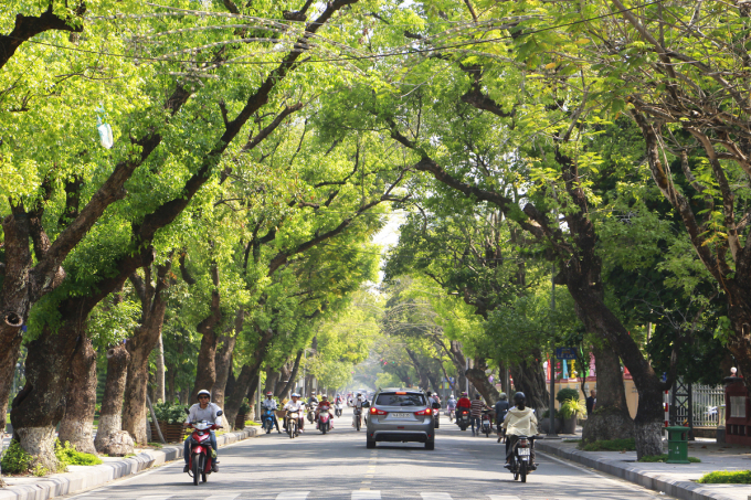 Tuyến đường Lê Lợi nằm bên dòng sông Hương dày đặc cây xanh, là tuyến đường huyết mạch ở Huế.