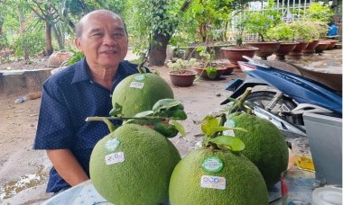 "Trái ngọt" của những người nông dân Việt Nam xuất sắc giữa đại dịch