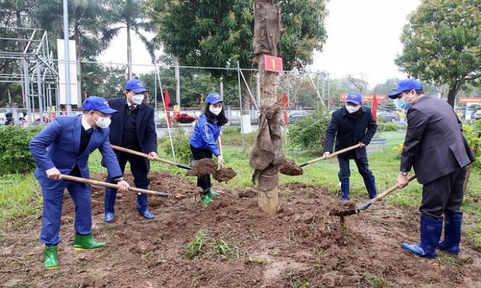 Thanh niên Thủ đô sẽ trồng mới 100.000 cây xanh trên địa bàn thành phố