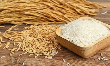 Giá lúa gạo hôm nay 14/2: Giảm 100 đồng/kg ở một số giống lúa trong phiên đầu tuần