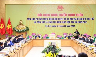 Chỉ 5,7% dân số Việt Nam tham gia hợp tác xã, thấp hơn nhiều so với thế giới