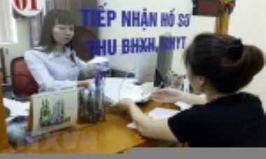 TP HCM: 60.000 doanh nghiệp, đơn vị nợ đọng bảo hiểm xã hội