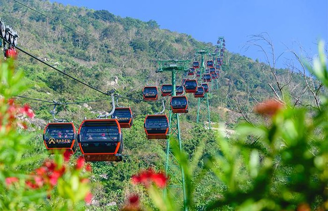 Hàng trăm ngàn du khách nô nức lên ngắm hoa tulip lần đầu xuất hiện trên đỉnh Núi Bà Tây Ninh ảnh 3