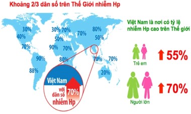 3 sự thật về vi khuẩn HP khiến việc điều trị bệnh dạ dày gặp nhiều khó khăn