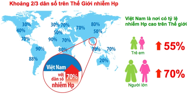 3 sự thật về vi khuẩn HP khiến việc điều trị bệnh dạ dày gặp nhiều khó khăn ảnh 1