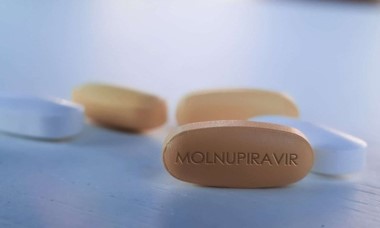 Giá bán thuốc Molnupiravir điều trị COVID-19 vừa được Bộ Y tế cấp phép thế nào; Sử dụng ra sao?