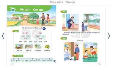 SGK Tiếng Việt lớp 1 có dạy hay không dạy chứ ‘P’?