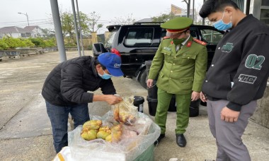 CSGT Thừa Thiên Huế phát hiện gần 2 tấn nội tạng bò không rõ nguồn gốc