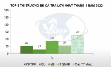 Xuất khẩu cá tra sang thị trường Trung Quốc tăng trưởng gấp 3 lần