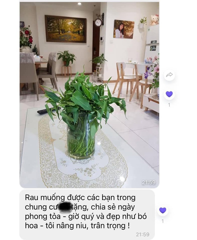 Hình ảnh bó hoa rau muống ấn tượng của mẹ Hoài Anh (Ảnh: Facebook Hoài Anh).