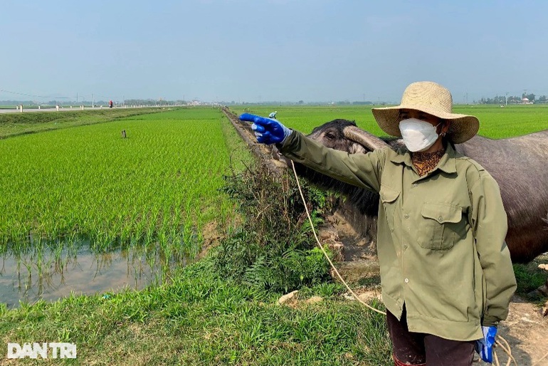 Những người dân nơi đây bất ngờ khi những lô đất tại thôn Hòa Bình được đưa ra đấu giá với mức giá cao ngất ngưỡng như vậy.