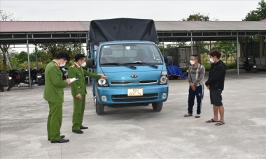 Ninh Bình: Bắt giữ 2 đối tượng đi ôtô tải trộm trâu liên tỉnh