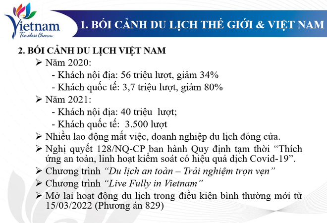 Giải pháp “nóng” khôi phục nhanh du lịch ảnh 3