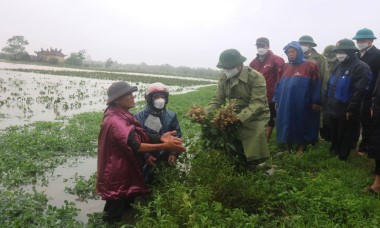 Áp thấp nhiệt đới và bão bất thường có thể xuất hiện trên Biển Đông trong tuần này