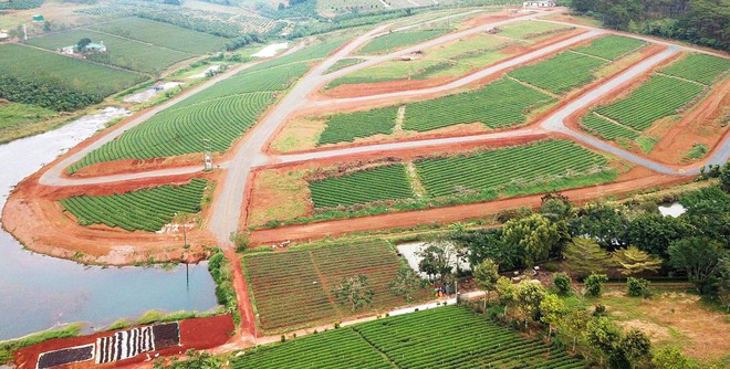 Đất nông nghiệp, đất ao và đất xen kẹt có thể được chuyển sang đất ở lâu dài ảnh 2