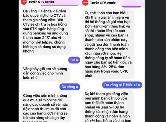 Người phụ nữ bị lừa gần 100 triệu đồng khi nhận làm cộng tác viên cho sàn thương mại điện tử ảnh 1