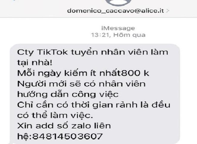 Giả mạo TikTok để lừa đảo ảnh 1