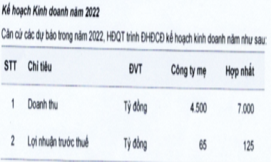 Ống thép Việt Đức đặt kế hoạch lợi nhuận trước thuế hợp nhất đạt 125 tỷ đồng