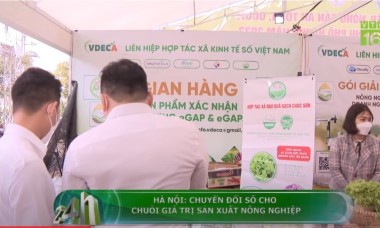 HÀ NỘI: CHUYỂN ĐỔI SỐ CHO CHUỖI GIÁ TRỊ SẢN XUẤT NÔNG NGHIỆP