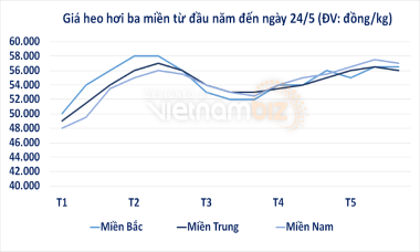 Doanh nghiệp “méo mặt” vì giá thức ăn chăn nuôi tăng cao