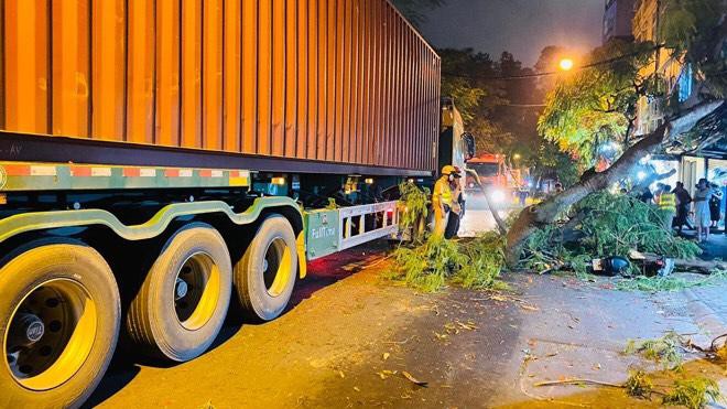 Hà Nội: Xe container quệt vào cây, cành gãy rơi trúng học sinh đi xe đạp điện ảnh 1