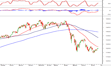 Thị trường chứng khoán ngày 22/7/2022: Tín hiệu kỹ thuật phiên chiều
