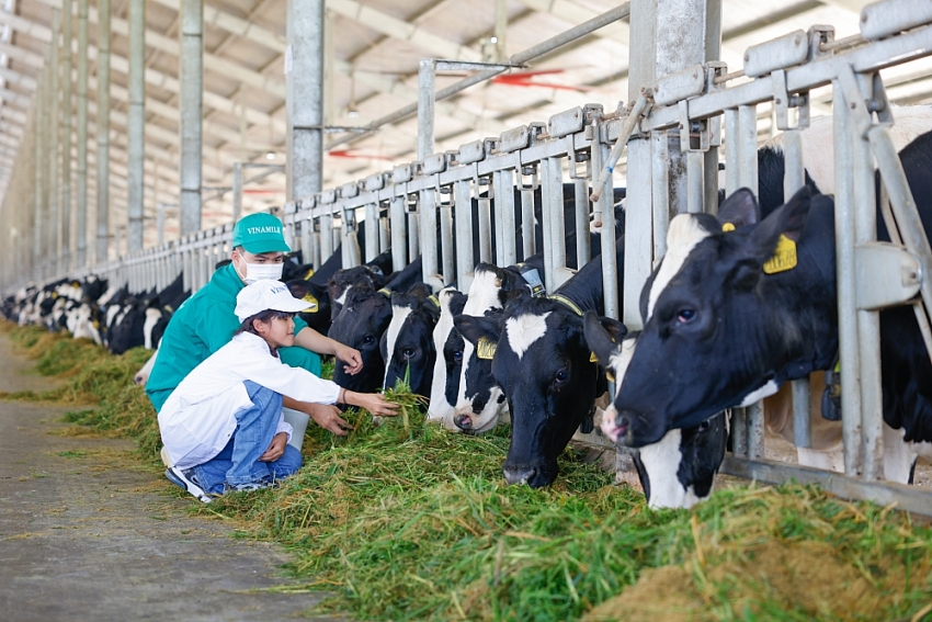 Quỹ sữa Vươn cao Việt Nam và Vinamilk dành nhiều món quà đặc biệt cho trẻ em nhân 15 năm thành lập