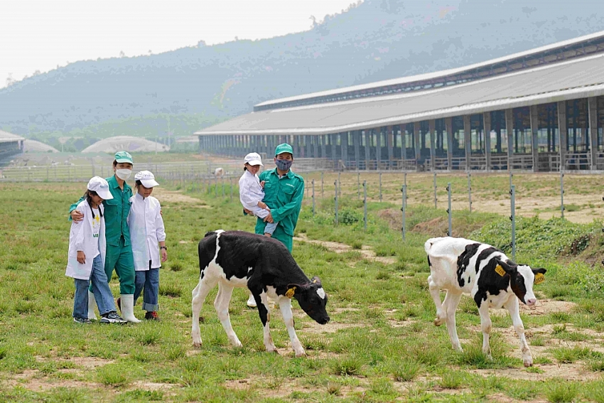 Quỹ sữa Vươn cao Việt Nam và Vinamilk dành nhiều món quà đặc biệt cho trẻ em nhân 15 năm thành lập