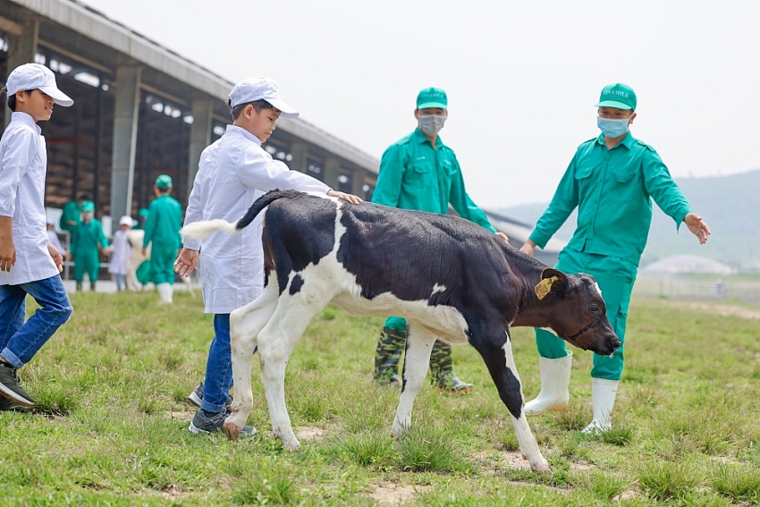 Quỹ sữa Vươn cao Việt Nam và Vinamilk dành nhiều món quà đặc biệt cho trẻ em nhân 15 năm thành lập