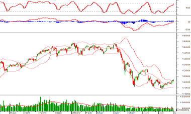 Thị trường chứng khoán ngày 1/8/2022: Tín hiệu kỹ thuật phiên chiều