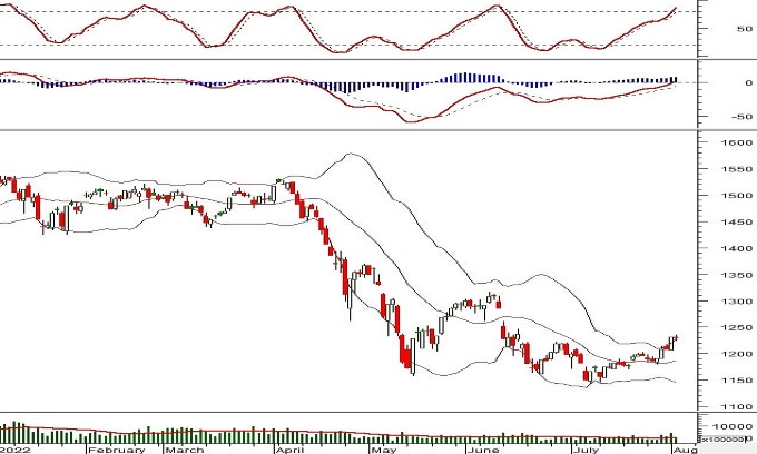 Thị trường chứng khoán ngày 2/8/2022: Tín hiệu kỹ thuật phiên chiều