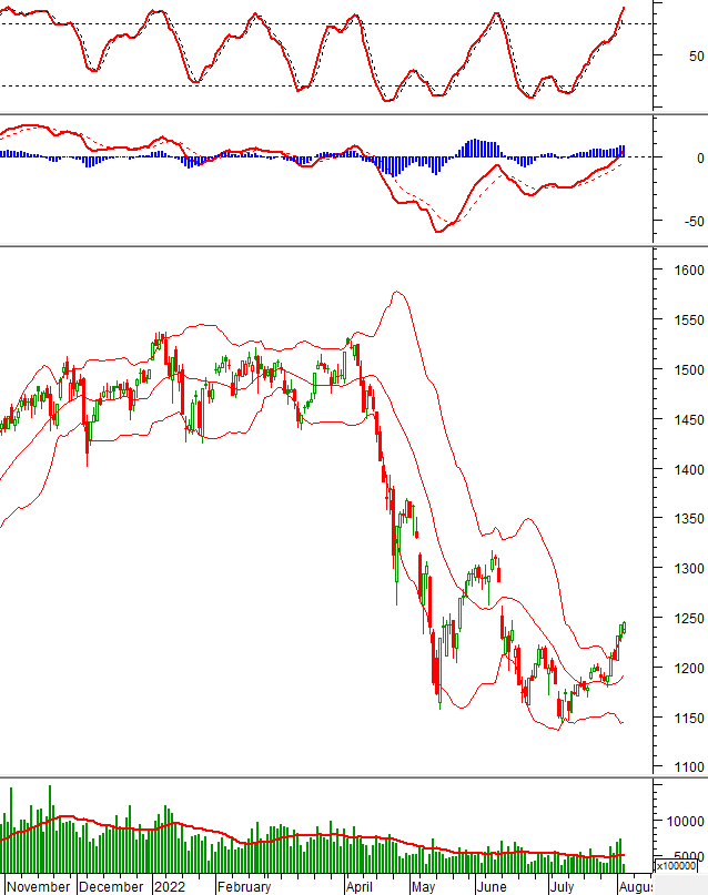 Thị trường chứng khoán ngày 3/8/2022: Tín hiệu kỹ thuật phiên chiều