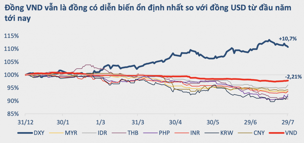 Nguồn: BVSC