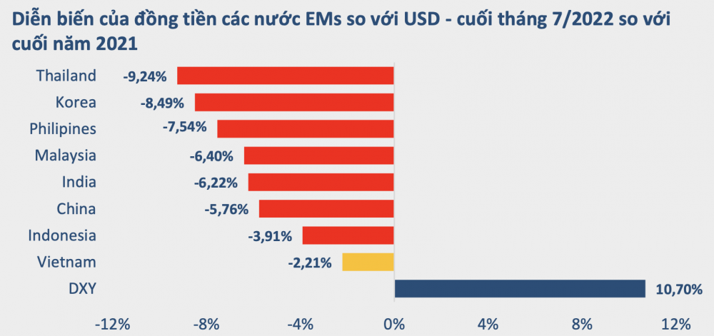 Nguồn: BVSC