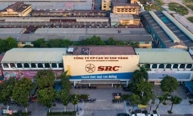 Cao su Sao Vàng (SRC) báo lãi tăng 34% nhờ tiết giảm chi phí trong 6 tháng