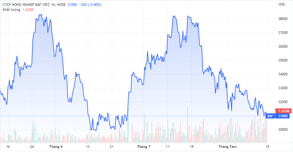 Diễn biến giá cổ phiếu BCG thời gian gần đây (Nguồn: TradingView)