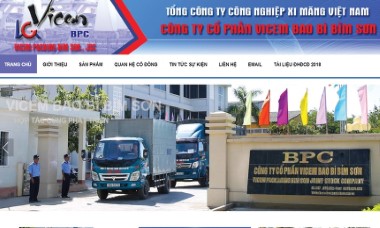 Vicem Bao bì Bỉm Sơn bị xử phạt liên quan đến thuế