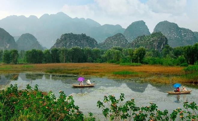 "Buổi sáng của đàn cò" đoạt giải Nhất cuộc thi ảnh về các vùng đất ngập nước của Việt Nam ảnh 4