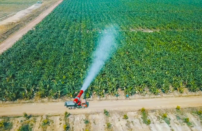 HAGL Agrico 'khai tử' công ty con kinh doanh yếu kém, âm vốn chủ sở hữu 174 tỷ đồng