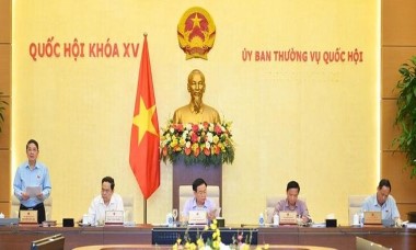 Bảo đảm tính nghiêm minh đối với xử lý hành vi nâng giá cơ hội