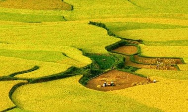 Ngày hội giao lưu văn hóa, thể thao du lịch vùng biên giới Việt Nam - Lào