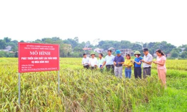 Chuyển đổi số trong sản xuất nông nghiệp!