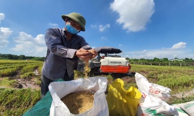 Hà Nội đặt mục tiêu đưa thu nhập nông dân lên trên 80 triệu/năm, nông thôn là "nơi đáng sống"