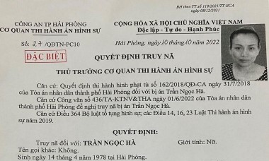 'Nữ quái' có lệnh truy nã đặc biệt bị bắt giữ