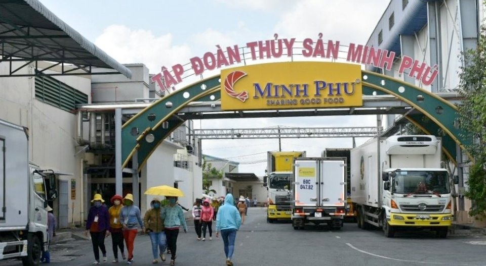 Thủy sản Minh Phú (MPC) báo lãi ròng quý III hơn 300 tỷ đồng, nợ phải trả tăng 31%